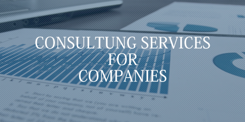企業向けコンサルティング業務